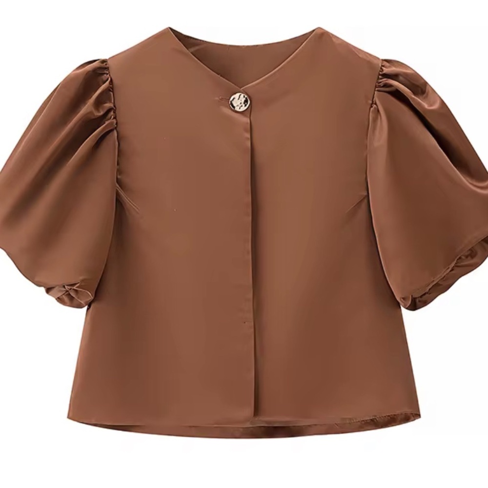 Elegant Brown Puff Sleeve Top